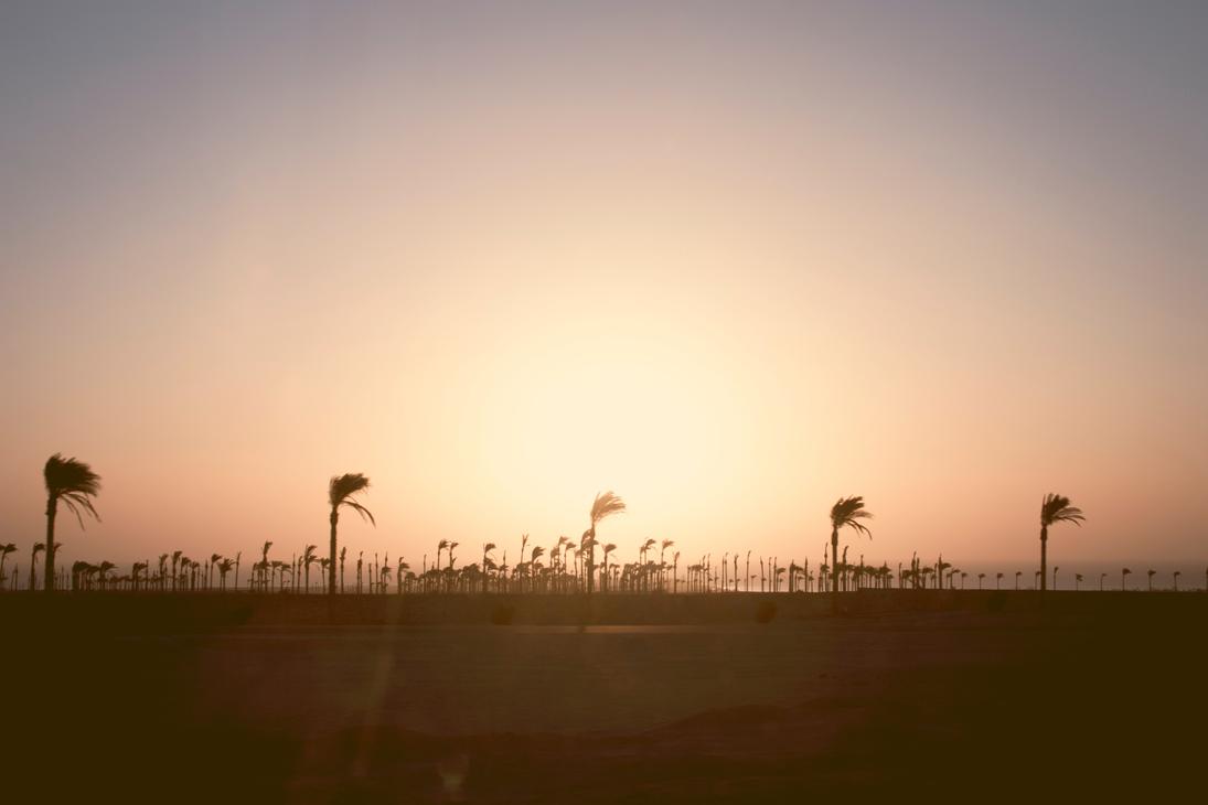 Et consectetur expedita eos possimus quis facilis