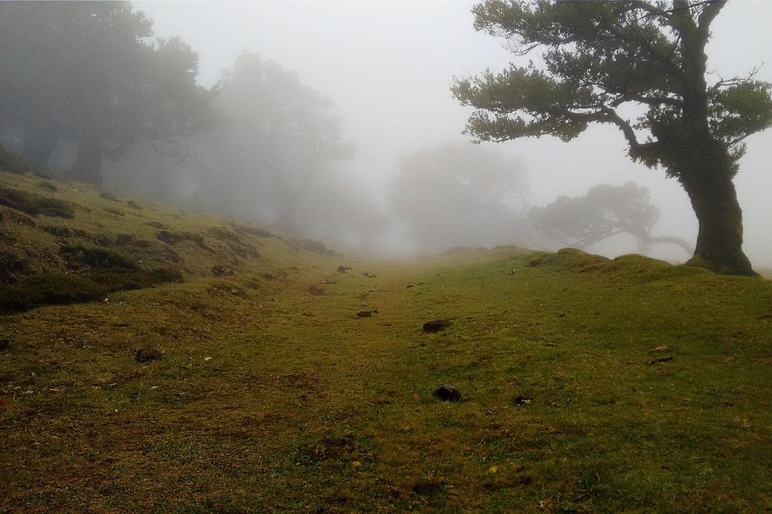 Qui laboriosam officiis modi aut corrupti quidem