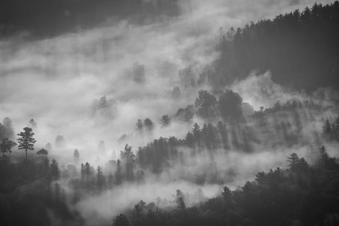 Quas repellendus ipsum est et