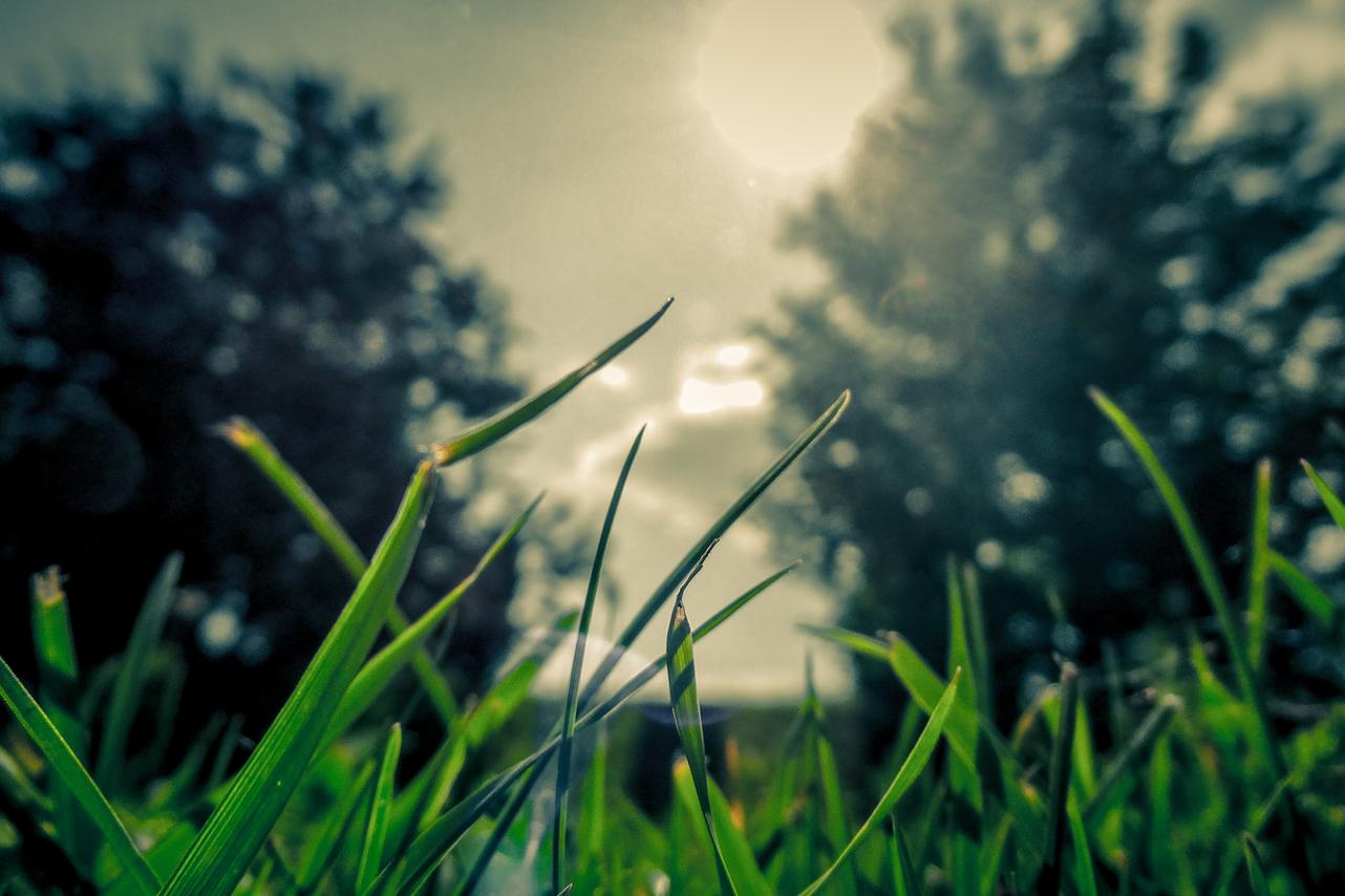 Molestiae corrupti sequi non