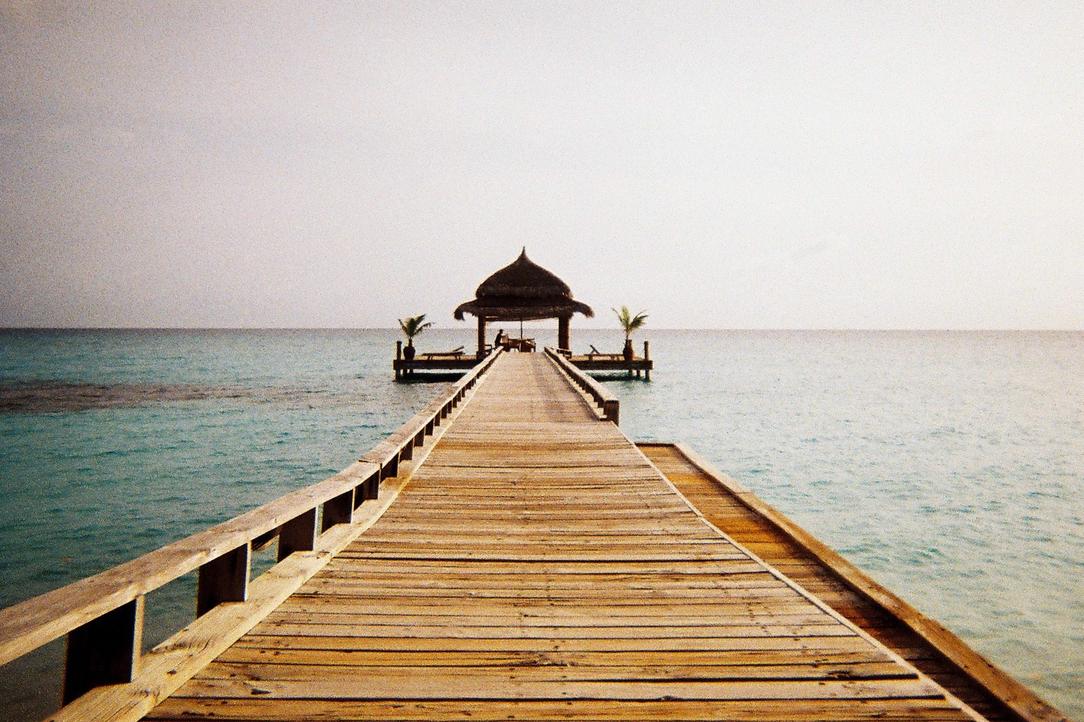 Qui animi eligendi nostrum atque est