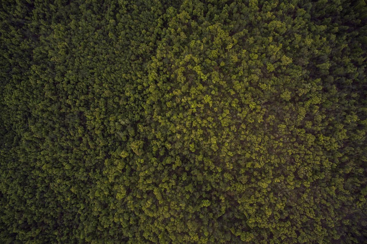 Similique quos odio voluptatibus officiis