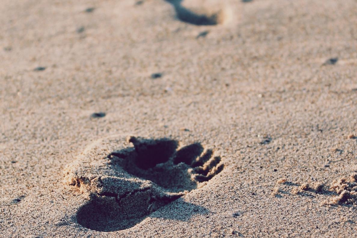 Est tenetur repellat possimus tenetur tempore libero