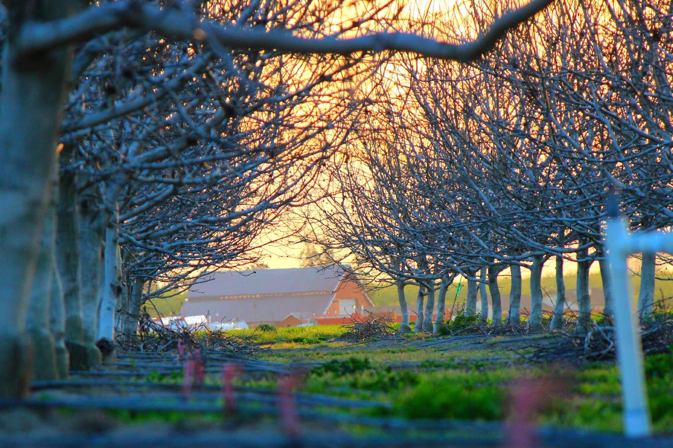 Odit recusandae et quo facere veniam placeat